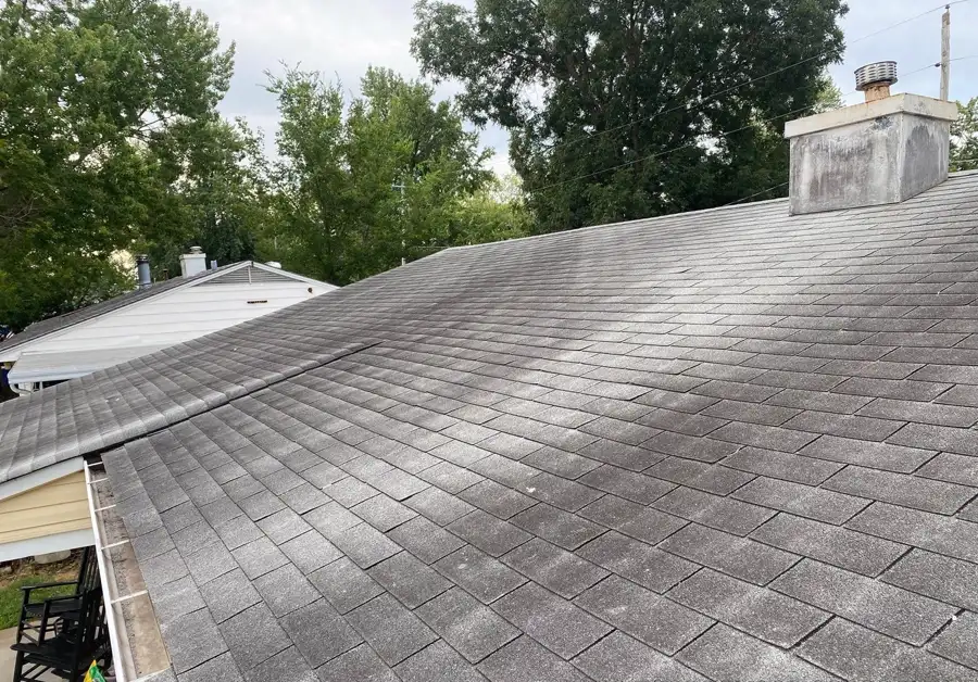 Asphalt shingle roof darkened almost black by algae across the whole slope
